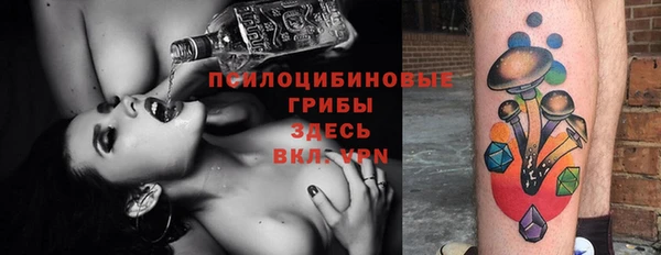 прущий лед Горняк